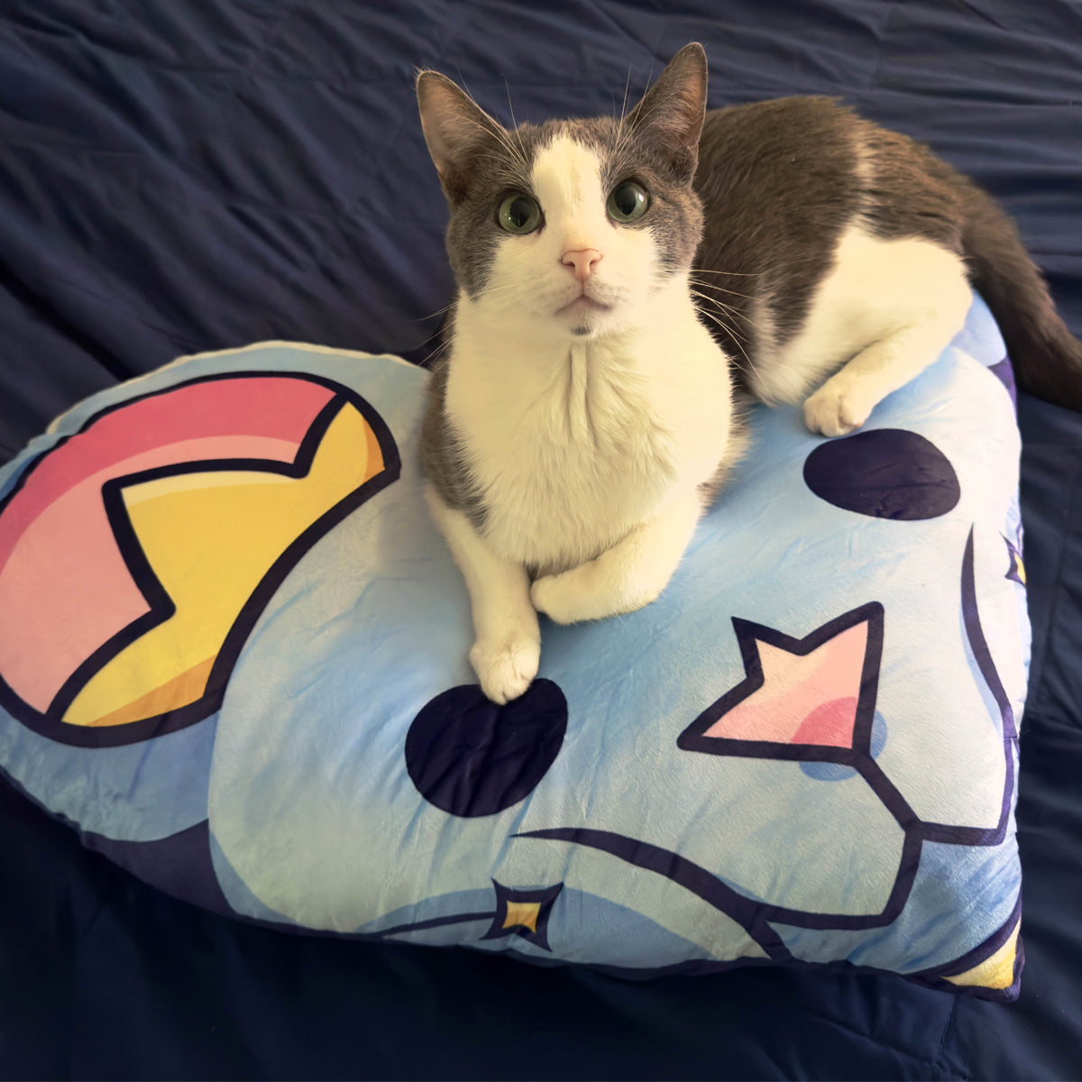JoshJepson - Custom Shaped Pillows - Astro Heart