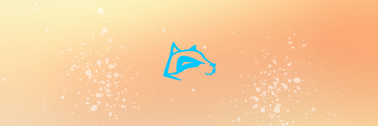 Skybilz